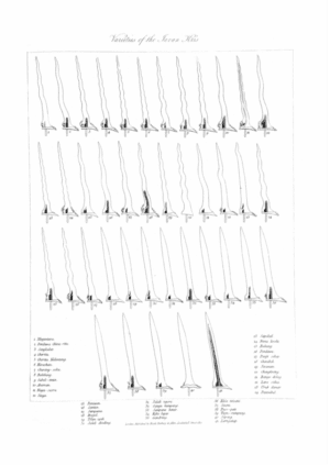 Illustration depicting the multiple morphologies of the Javan Kris.